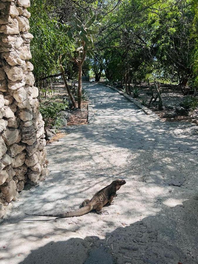 Lago Enriquillo Resort Cerro Al Medio Exteriör bild